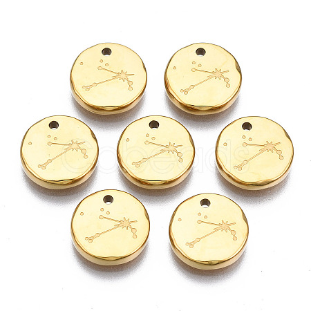 316 Surgical Stainless Steel Charms STAS-S116-418B-G-1