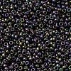 MIYUKI Round Rocailles Beads X-SEED-G009-RR2019-3