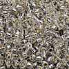 TOHO 3/0 Round Beads X-SEED-TR03-0021-3