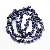 Natural Sodalite Chips Beads Strands G-O049-A-08-2