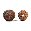 Undyed Natural Rudraksha Beads WOOD-T030-01-2