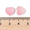Imitation Candy Food Style Resin Cabochons RESI-R461-01D-3