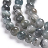 Natural Eagle Eye Beads Strands G-I281-02-4mm-2