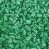 FGB Frosted Transparent Glass Seed Beads SEED-N013-05A-09-3