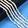 Natural Cultured Freshwater Pearl Beads Strands PEAR-N014-03A-6