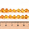 Natural Amber Beads Strands G-T138-236-4