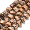 Natural Feldspar Beads Strands G-L642-H04-01-2