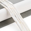 Freshwater Shell Beads Strands BSHE-L037-13-2