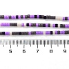 Handmade Lampwork Beads Strands LAMP-L078-008E-4