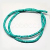 Natural Magnesite Beads Strands TURQ-L025-A-01-2