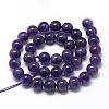 Natural Amethyst Beads Strands G-R446-6mm-21-2