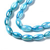 Freshwater Shell Beads Strands SHEL-N026-141C-3
