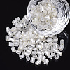 6/0 Two Cut Glass Seed Beads SEED-S033-05B-02-1