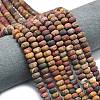 Natural Red Picasso Jasper/Polychrome Jasper Beads Strands G-P575-A16-8x5mm-1