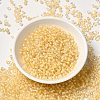 12/0 Transparent Glass Seed Beads X-SEED-F003-03C-14-2