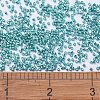 MIYUKI Delica Beads X-SEED-J020-DB0427-3