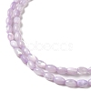 Natural Trochus Shell Beads Strands SHEL-K006-19B-3