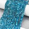 Natural Apatite Beads Strands X-G-Z057-B02-02-2