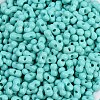 Baking Paint Glass Seed Beads X1-SEED-K010-A19-2