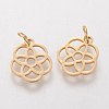 304 Stainless Steel Pendants STAS-Q201-T454G-2