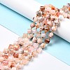 Natural Cherry Blossom Agate Beads Strands G-L579-03-4