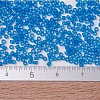 MIYUKI Delica Beads SEED-MY11-DB0787-4
