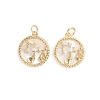 Brass Micro Pave Cubic Zirconia Pendants ZIRC-E164-36B-G-2