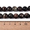 Natural Biotite Beads Strands G-Q616-01D-5