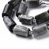 Natural Hawk's Eye Beads Strands X-G-S345-8x11-009-3