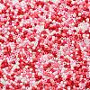 Baking Paint Glass Seed Beads SEED-S042-05B-46-3