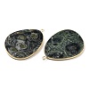 Natural Kambaba Jasper Pendants G-K347-02G-01-2