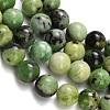 Natural Serpentine Beads Strands G-Z110-C04-10mm-4