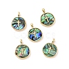 Natural Abalone Shell/Paua Shell Pendants KK-C004-11G-01-3