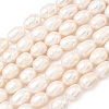 Natural Cultured Freshwater Pearl Beads Strands PEAR-D003-01D-10-2