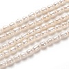 Natural Cultured Freshwater Pearl Beads Strands PEAR-L033-58-01-1