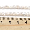Natural Keshi Pearl Cultured Freshwater Pearl Beads Strands PEAR-P062-25E-X-5