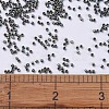 MIYUKI Delica Beads Small SEED-X0054-DBS0324-4