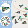 8Pcs Natural Abalone Shell/Paua Shell Cabochons SHEL-BC0001-037C-4