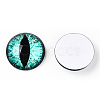 Glass Cabochons GGLA-T004-02W-1