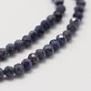 Natural Sapphire Bead Strands X-G-P271-3mm-13-4