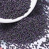 MIYUKI Round Rocailles Beads X-SEED-G007-RR2019-1
