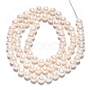 Natural Cultured Freshwater Pearl Beads Strands PEAR-N013-05E-5