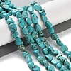 Dyed & Heated Natural Turquoise Beads Strands G-P497-01C-17-2