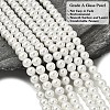 Eco-Friendly Dyed Glass Pearl Round Beads Strands HY-A008-8mm-RB001-3