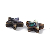 Natural Abalone Shell/Paua Shell Beads SSHEL-M021-01-3