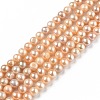 Natural Cultured Freshwater Pearl Beads Strands PEAR-L033-08B-01-1