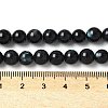 Natural Black Lip Shell Beads Strands SSHEL-C013-01B-4
