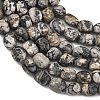 Natural Picasso Jasper Beads Strands GG-C286-A29-3