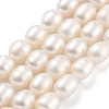 Natural Cultured Freshwater Pearl Beads Strands PEAR-P062-10I-2