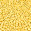 Baking Paint Pearlized Glass Seed Beads SEED-T008-03D-3